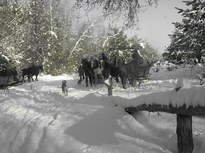 zad 028.jpg